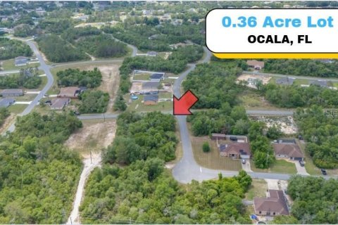Terreno en venta en Ocala, Florida № 1680879 - foto 1