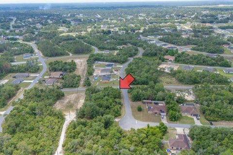 Terreno en venta en Ocala, Florida № 1680879 - foto 8