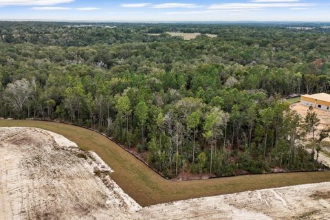 Terreno en venta en Mount Dora, Florida № 2109221 - foto 2