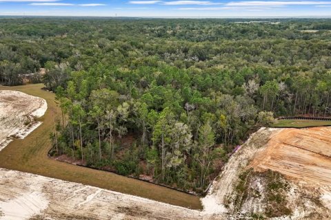 Terreno en venta en Mount Dora, Florida № 2109221 - foto 4