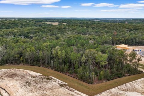 Terrain à Mount Dora, Floride № 2109221