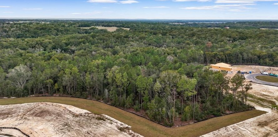 Terreno en Mount Dora, Florida № 2109221