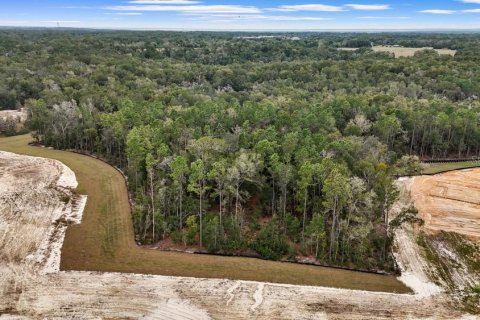 Terreno en venta en Mount Dora, Florida № 2109221 - foto 3