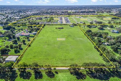 Land in Oxford, Florida № 2329103 - photo 4