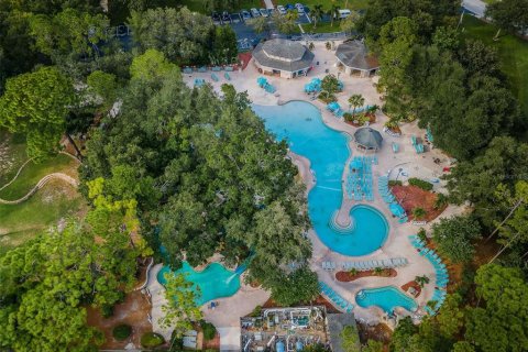 Condo in Palm Harbor, Florida, 1 bedroom № 2234483 - photo 26