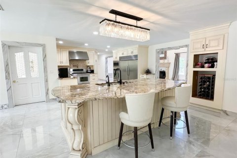 Villa ou maison à vendre à Valrico, Floride: 6 chambres, 627.93 m2 № 2396701 - photo 20