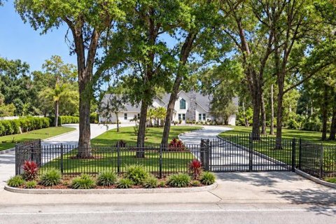 Villa ou maison à Valrico, Floride 6 chambres, 627.93 m2 № 2396701
