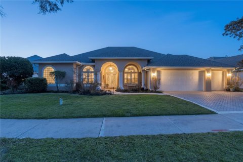 House in Mount Dora, Florida 4 bedrooms, 236.34 sq.m. № 2218507
