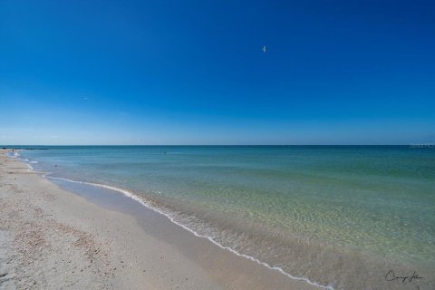 Condo in Treasure Island, Florida, 1 bedroom № 2212763 - photo 24