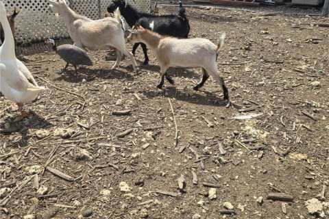 Купить коммерческую недвижимость в Майами, Флорида № 2057795 - фото 17