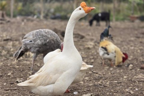 Купить коммерческую недвижимость в Майами, Флорида № 2057795 - фото 11