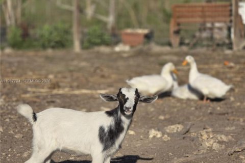 Купить коммерческую недвижимость в Майами, Флорида № 2057795 - фото 6