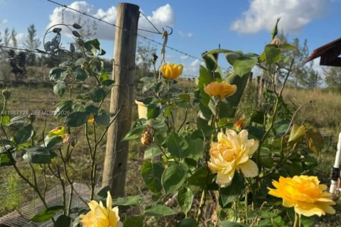 Купить коммерческую недвижимость в Майами, Флорида № 2057795 - фото 12