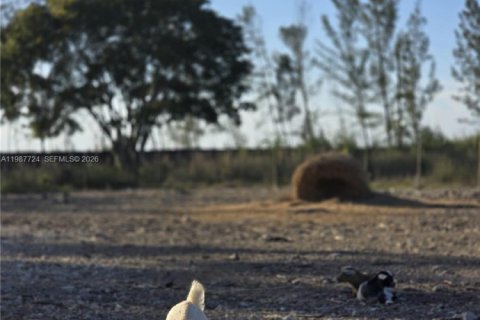 Купить коммерческую недвижимость в Майами, Флорида № 2057795 - фото 7