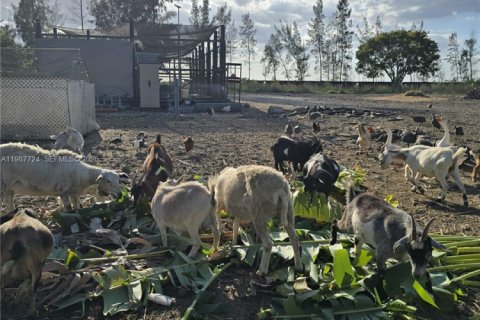 Купить коммерческую недвижимость в Майами, Флорида № 2057795 - фото 19