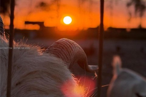 Купить коммерческую недвижимость в Майами, Флорида № 2057795 - фото 5