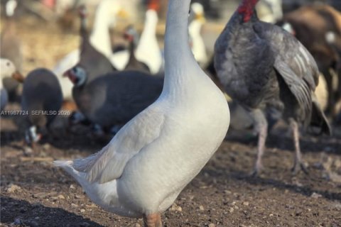 Купить коммерческую недвижимость в Майами, Флорида № 2057795 - фото 15