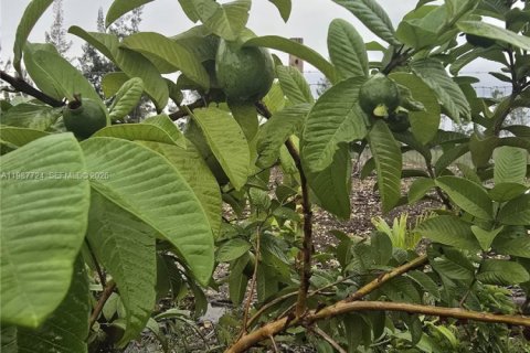 Купить коммерческую недвижимость в Майами, Флорида № 2057795 - фото 14