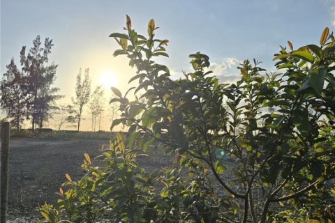 Купить коммерческую недвижимость в Майами, Флорида № 2057795 - фото 16