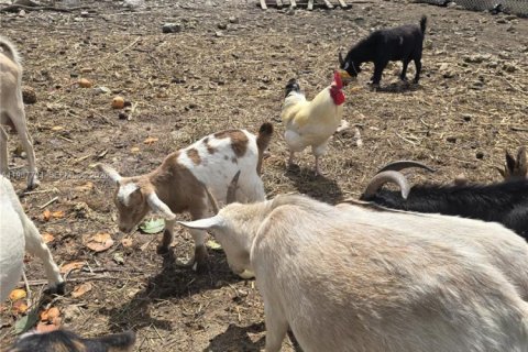 Купить коммерческую недвижимость в Майами, Флорида № 2057795 - фото 21