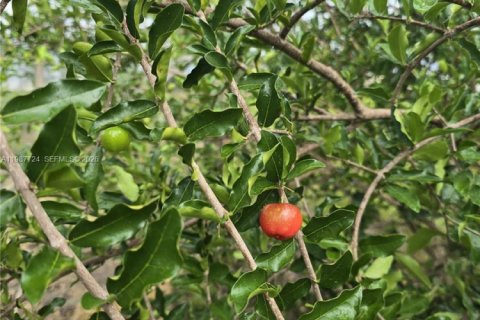 Купить коммерческую недвижимость в Майами, Флорида № 2057795 - фото 9