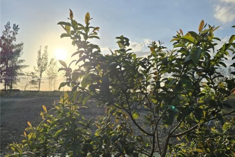 Купить коммерческую недвижимость в Майами, Флорида № 2057795 - фото 2