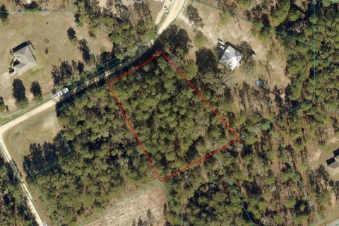 Terreno en Ocala, Florida № 2107483