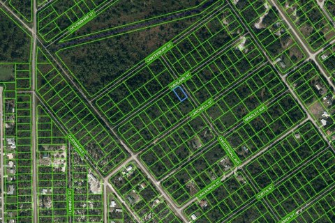 Land in Lake Placid, Florida № 2224070