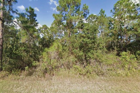 Land in Indian lake estates, Florida № 2341701