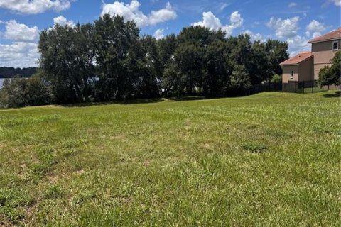 Land in Clermont, Florida № 1879797 - photo 1