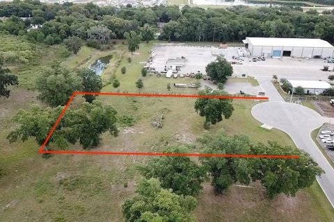Land in Umatilla, Florida № 2122842
