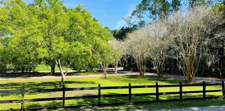 Terrain à Bunnell, Floride № 1900148