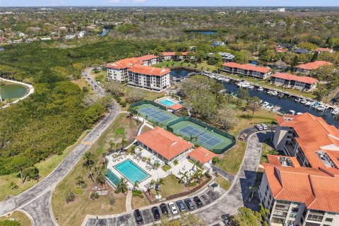 Condo in Tarpon Springs, Florida, 2 bedrooms  № 1590143 - photo 4
