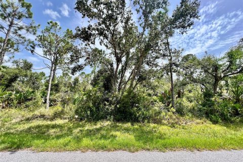 Terreno en Port Charlotte, Florida № 2225921