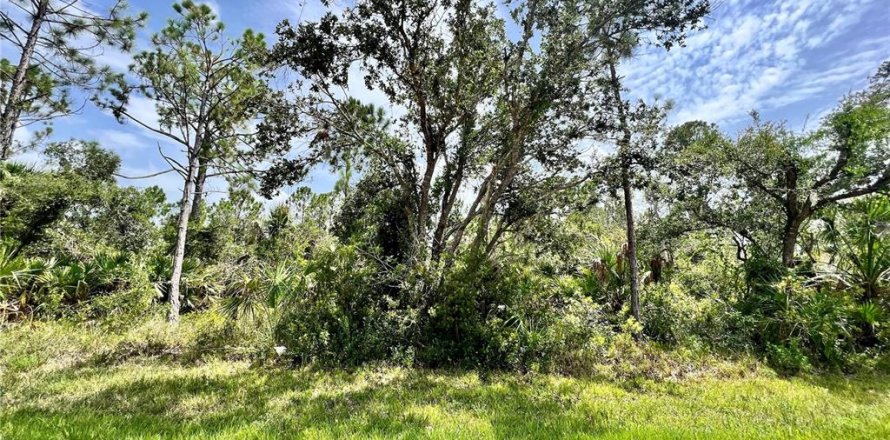 Terrain à Port Charlotte, Floride № 2225921