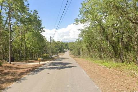 Land in Homosassa, Florida № 1815571 - photo 4