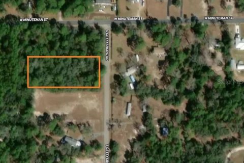 Land in Homosassa, Florida № 1815571 - photo 10