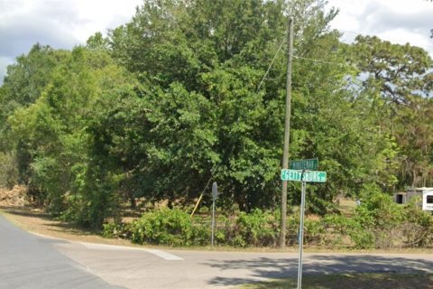 Land in Homosassa, Florida № 1815571 - photo 6