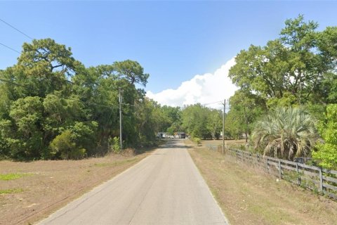 Land in Homosassa, Florida № 1815571 - photo 3