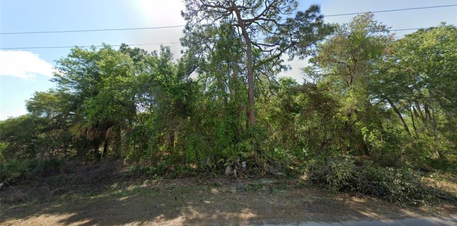 Land in Homosassa, Florida № 1815571