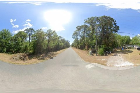 Land in Homosassa, Florida № 1815571 - photo 7