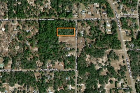Land in Homosassa, Florida № 1815571 - photo 9