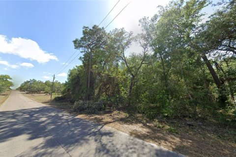 Land in Homosassa, Florida № 1815571 - photo 2