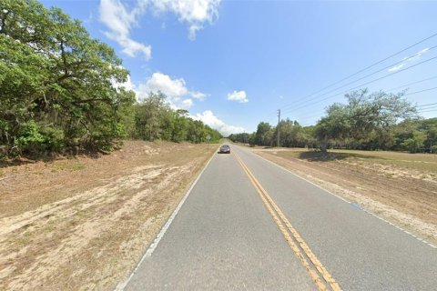 Land in Homosassa, Florida № 1815571 - photo 5