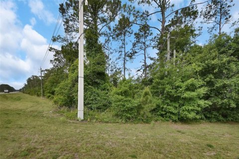 Terreno en venta en Ormond Beach, Florida № 2103713 - foto 11