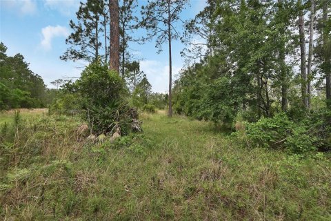Terreno en venta en Ormond Beach, Florida № 2103713 - foto 10