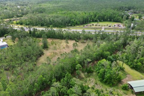 Terreno en venta en Ormond Beach, Florida № 2103713 - foto 4
