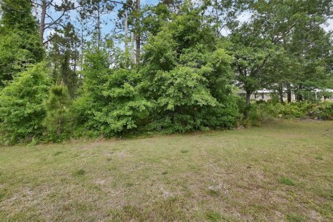 Terreno en venta en Ormond Beach, Florida № 2103713 - foto 12