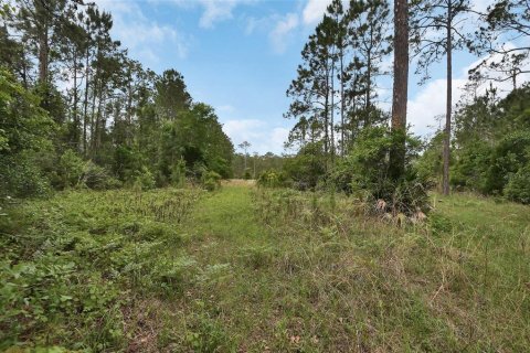Terreno en venta en Ormond Beach, Florida № 2103713 - foto 9
