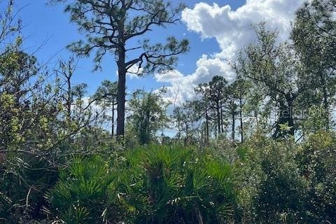 Land in Port Charlotte, Florida № 2165187